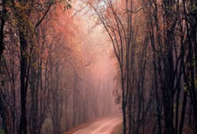 欧冠-萨拉赫传射麦卡利斯特建功 利物浦2-0博洛尼亚.