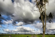 南宫28官网：记者：哈维收到沙特俱乐部报价，他想要时间考虑&看看其他选择.