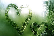 南宫28官网：2025钦州马拉松赛鸣枪开跑.