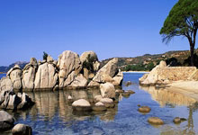 南宫28官网：从“备胎”做起，打造自己的新王朝：他当选赛季最佳主帅真的是实至名归.